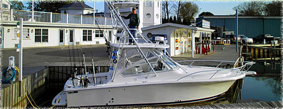 Lester's Luhrs Open Boat